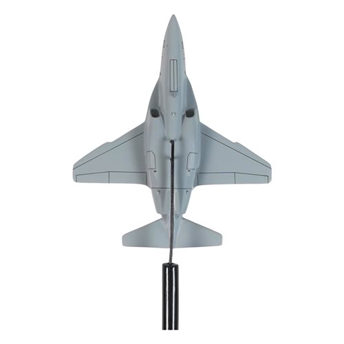 Republic of Singapore Air Force M-346 Briefing Stick - View 6