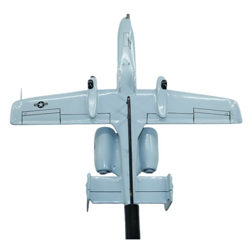104 FS A-10 Thunderbolt II Custom Briefing Sticks - View 6