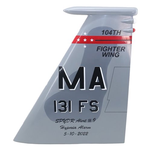131 FS F-15 Airplane Tail Flash