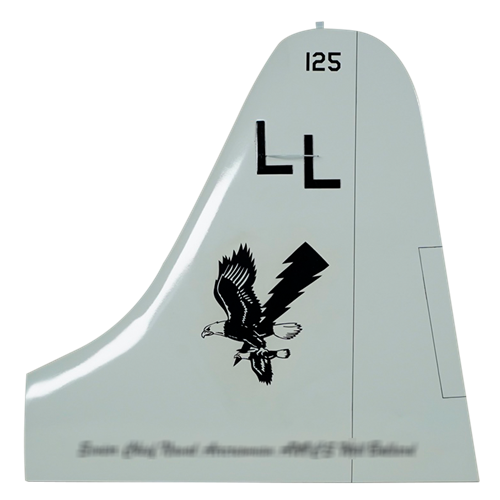 VP-30 P-3 Airplane Tail Flash - View 2