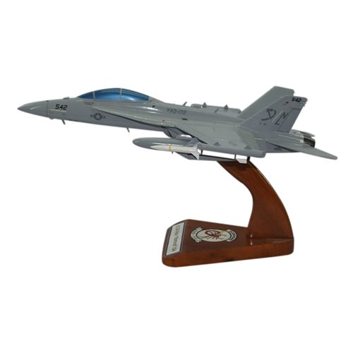 VAQ-132 EA-18G Custom Airplane Model  - View 2