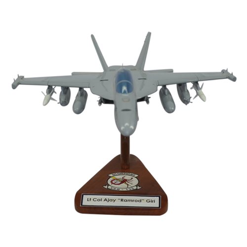 VAQ-132 EA-18G Custom Airplane Model  - View 3