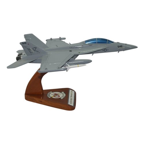 VAQ-132 EA-18G Custom Airplane Model  - View 4
