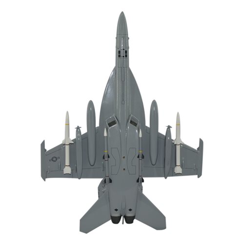 VAQ-132 EA-18G Custom Airplane Model  - View 6