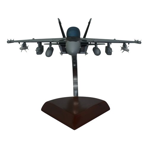 VAQ-141 EA-18G Custom Airplane Model  - View 3