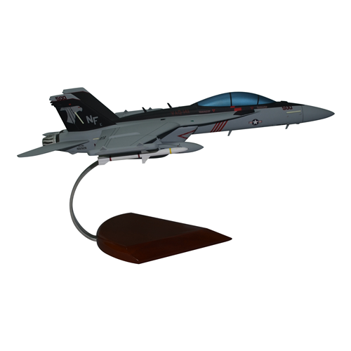VAQ-141 EA-18G Custom Airplane Model  - View 4