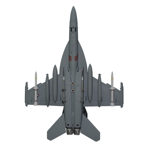 VAQ-141 EA-18G Custom Airplane Model  - View 6