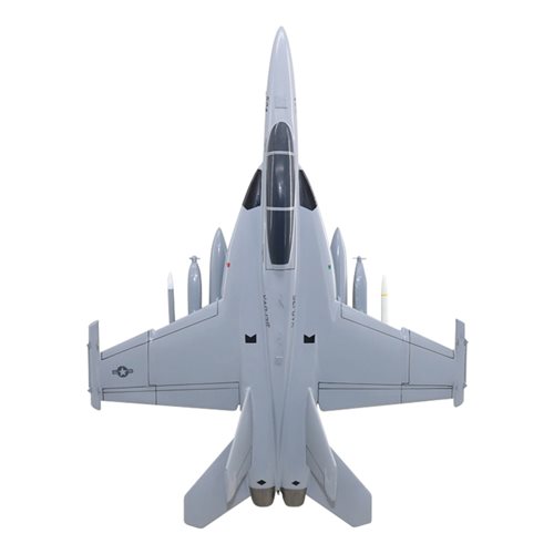 VAQ-135 EA-18G Custom Airplane Model  - View 6