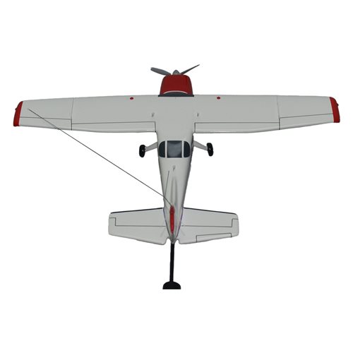 Cessna 206 Stationair Briefing Stick  - View 5