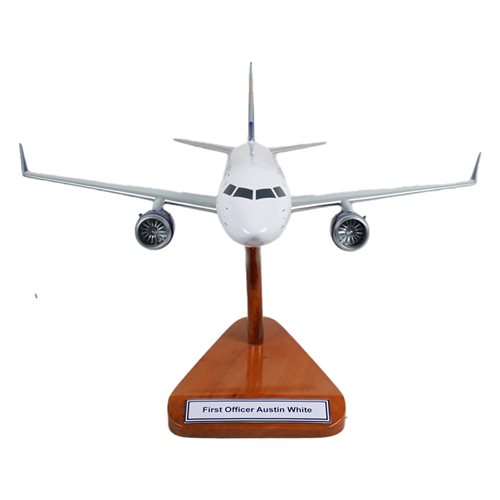 Delta Connection Embraer 170 Custom Aircraft Model - View 3