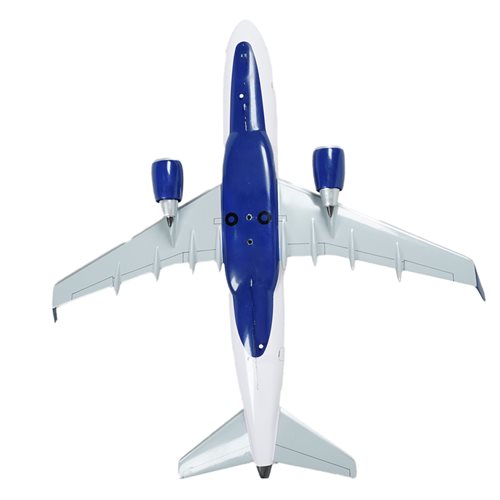 Delta Connection Embraer 170 Custom Aircraft Model - View 7