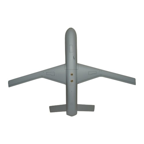 Predator C Custom Airplane Model - View 6