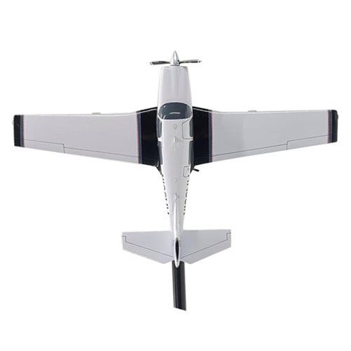 Mooney M20J Briefing Stick - View 5