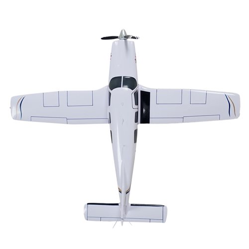 Piper 6XT Custom Aircraft Model - View 6