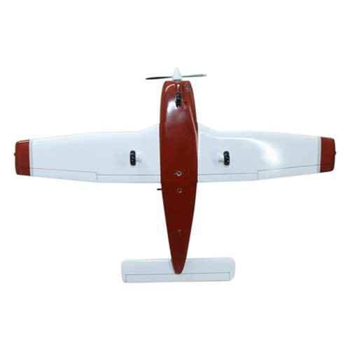 Piper PA-28-161 Cherokee Warrior II Custom Aircraft Model - View 9