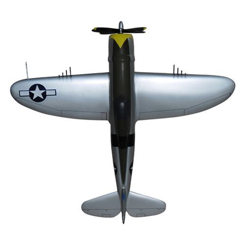 Design Your Own P-47 Thunderbolt Custom Airplane Model - View 8