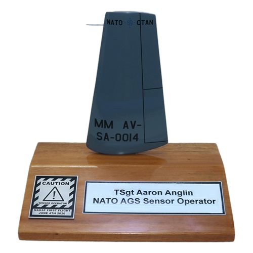 RQ-4 Desktop Tail Flash - View 2