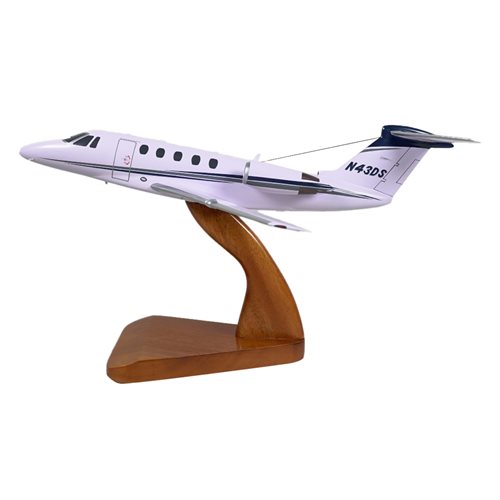 Cessna Citation VII Custom Airplane Model  - View 2