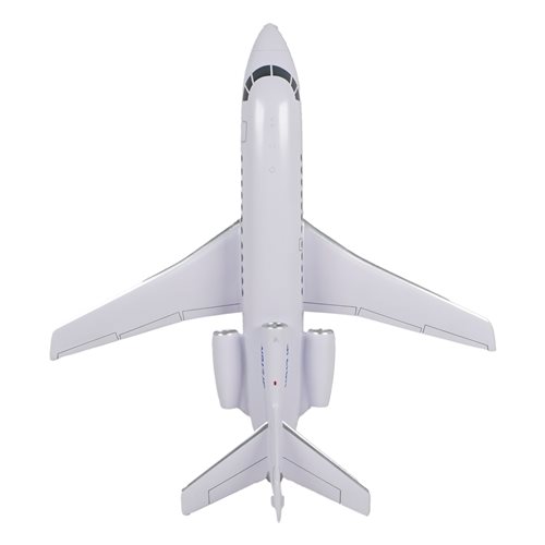 Falcon 900C Custom Aircraft Model - View 6