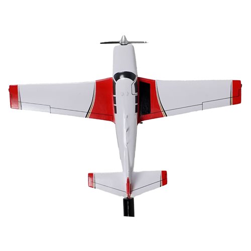 Mooney M20F Briefing Stick - View 5