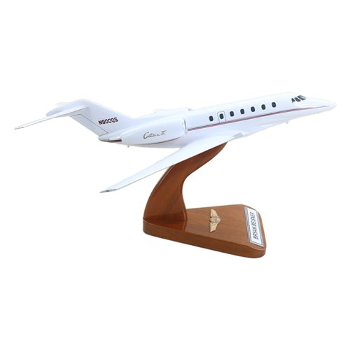 Cessna Citation X Custom Airplane Model  - View 6