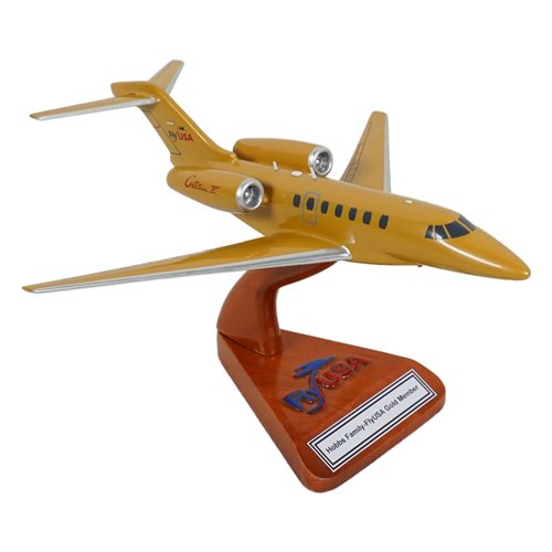 Cessna Citation X Custom Airplane Model  - View 7