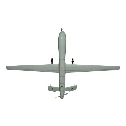22 RS MQ-1 Custom Airplane Model  - View 5