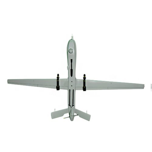 22 RS MQ-1 Custom Airplane Model  - View 6