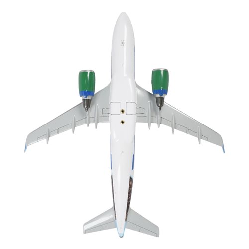 Frontier Airlines Airbus A320 NEO Custom Aircraft Model - View 7