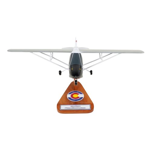 Quad City Challenger II Custom Aircraft Model - View 3