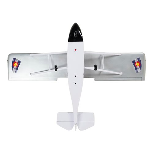 Quad City Challenger II Custom Aircraft Model - View 7