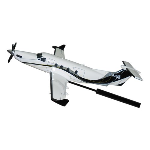 Pilatus PC-12 NG Briefing Stick - View 2