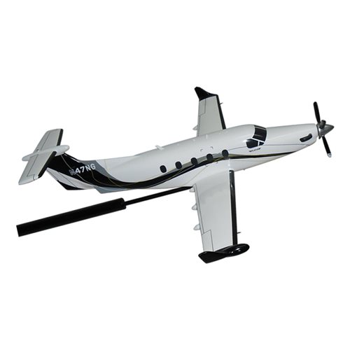 Pilatus PC-12 NG Briefing Stick - View 3