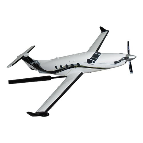 Pilatus PC-12 NG Briefing Stick - View 4