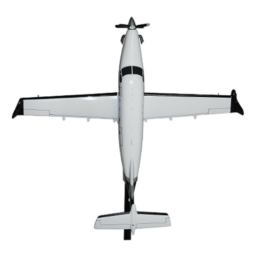 Pilatus PC-12 NG Briefing Stick - View 5