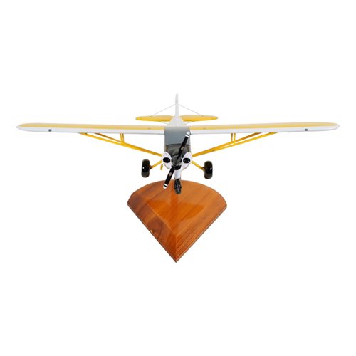 CubCrafters NXCub Custom Aircraft Model - View 3