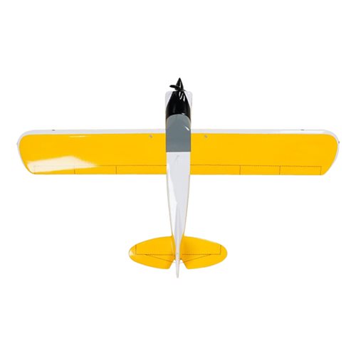 CubCrafters NXCub Custom Aircraft Model - View 6