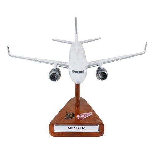 Olympia Aviation B737-800 Custom Aircraft Model - View 3