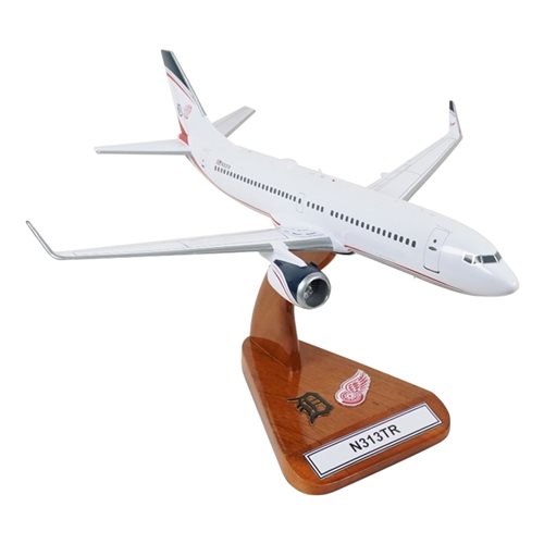 Olympia Aviation B737-800 Custom Aircraft Model - View 5