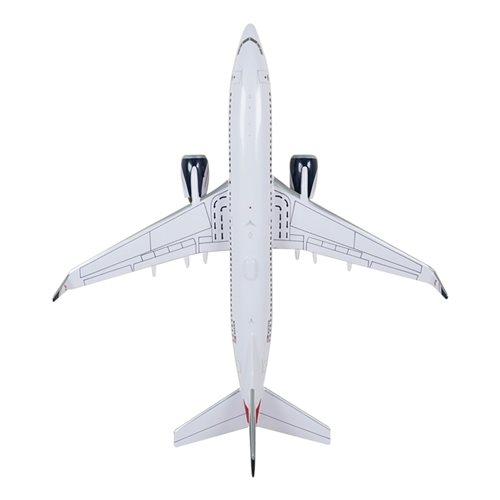 Olympia Aviation B737-800 Custom Aircraft Model - View 6