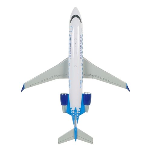 Independence Air CRJ-200ER Custom Aircraft Model - View 6