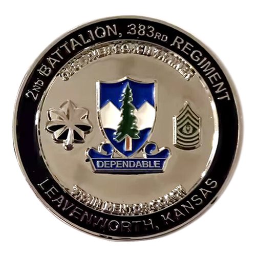 2-383 TSBN Challenge Coin - View 2