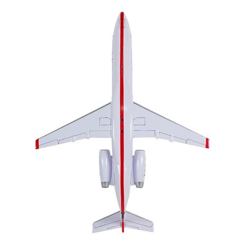 JSX Airlines Embraer 135 Custom Aircraft Model - View 7