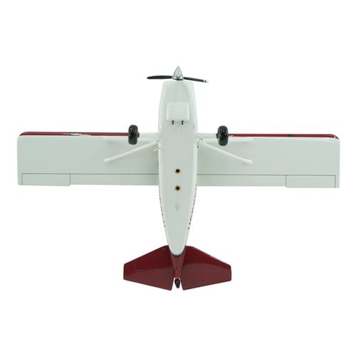Maule M7-235C Custom Aircraft Model - View 7