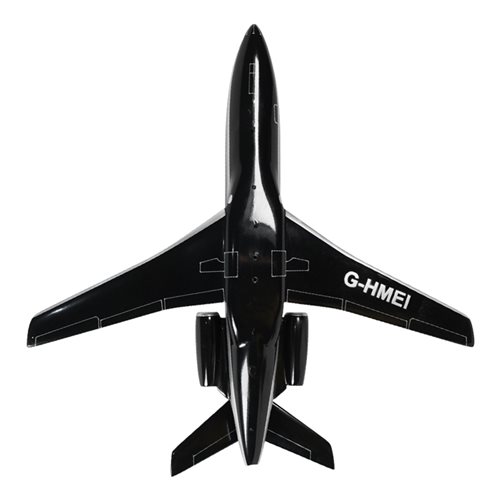 Falcon 900B Custom Airplane Model - View 7