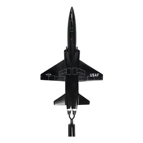 7 FTS T-38 Talon Briefing Stick - View 6