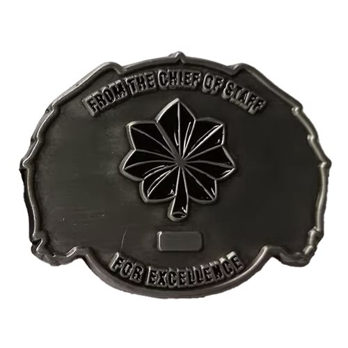 379 AEW Wing Staff Challenge Coin - View 2