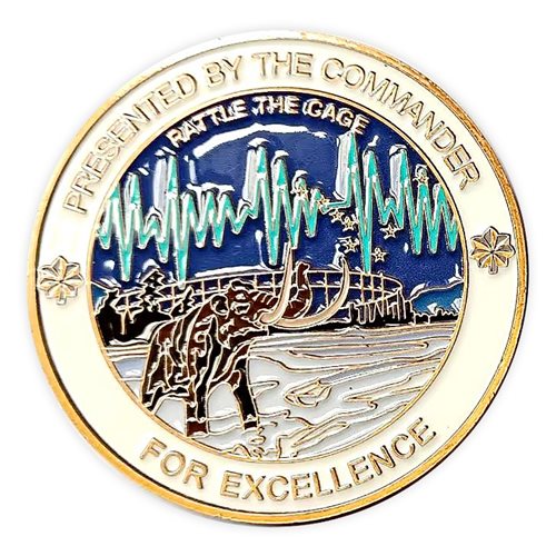 381 IS Rattle Cage Commander Challenge Coin - View 2