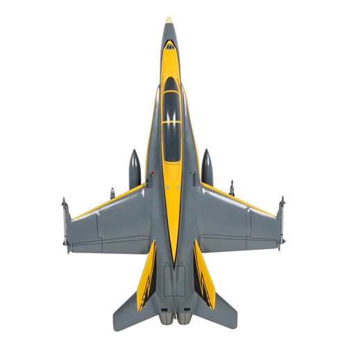 F/A-18D Hornet Custom Aircraft Model - View 6