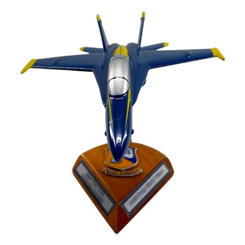Design Your Own F/A-18B Hornet Custom Airplane Model - View 3